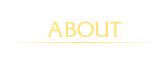 テレサについて